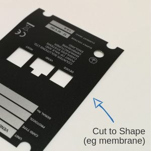 Polycarbonate membrane